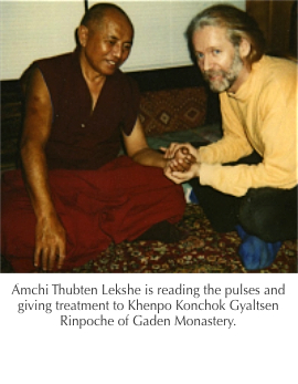 tibetan doctors