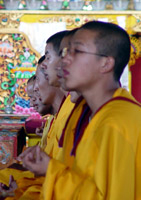 tibetan doctors
